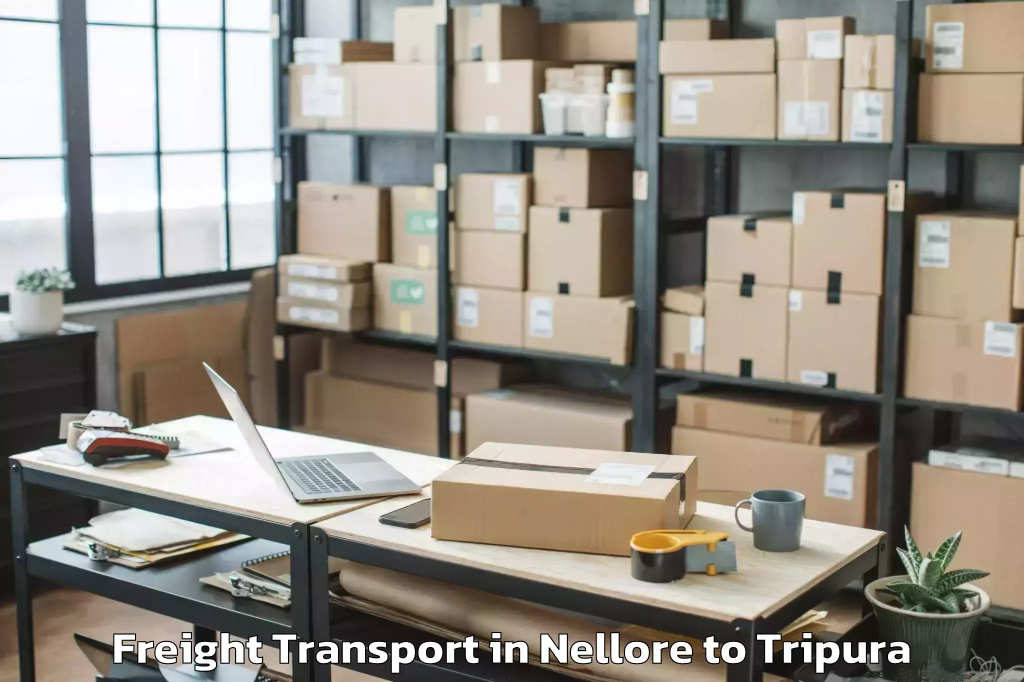 Affordable Nellore to Santirbazar Freight Transport